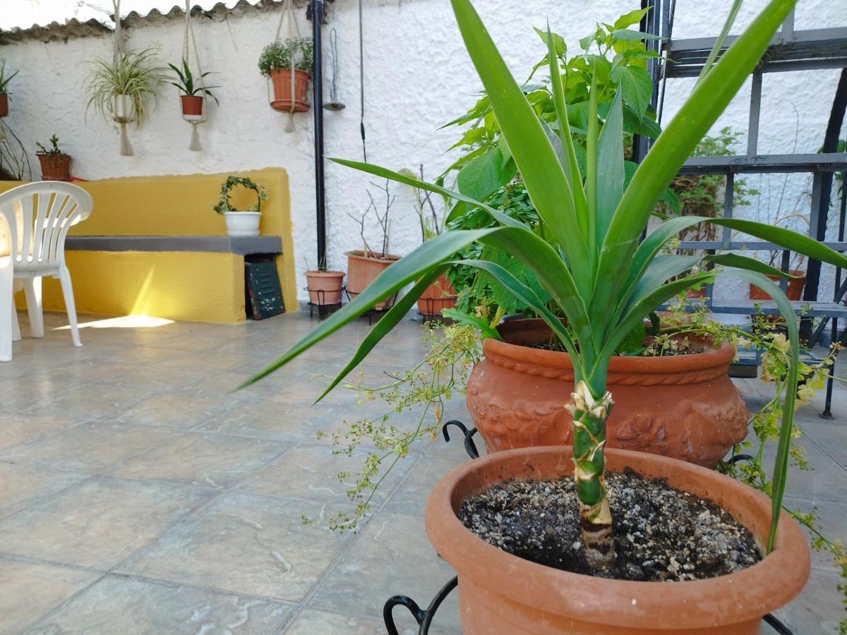 Voulas Guest House Волос Экстерьер фото